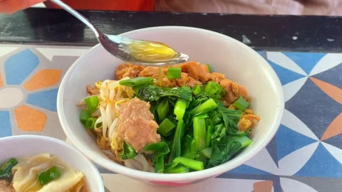 Chicken noodle with meatball and dumpling. Stock Footage 335559765