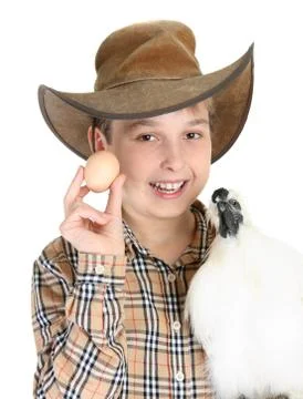 Chicken or Egg Stock Photos