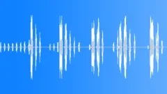 Chicken PackSound Effect