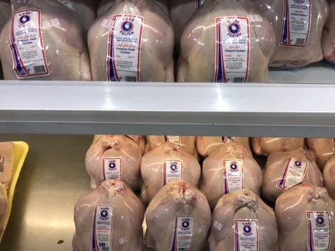 The chicken pack in the stall Stock Photos
