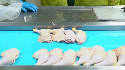 Chicken part on conveyor01 Stock Footage 221205662