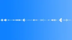 Chicken pen 02 Sound Effect