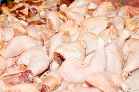 Chicken Foto stock