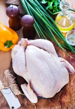 Chicken Stock Photos