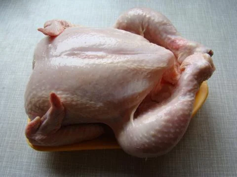 Chicken Foto stock