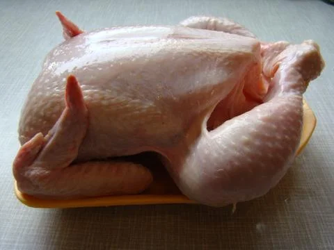 Chicken Stock Photos