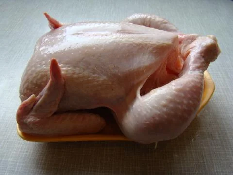 Chicken Stock Photos