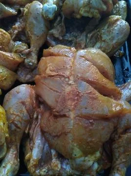 Chicken 库存照片