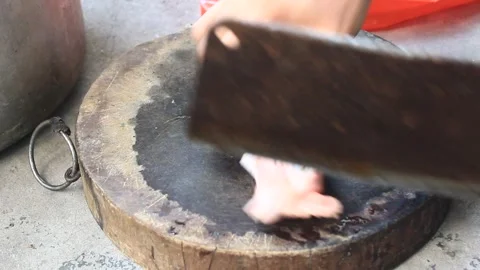 Chicken processing Stock Footage 301081703