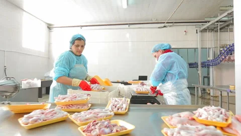 Chicken processing at poultry farm . Women in gloves working at chicken factory Stock Footage 132328202