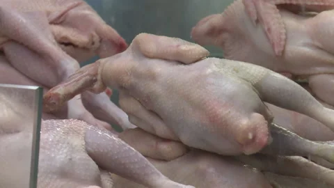 Chicken products Stock Footage 233958239