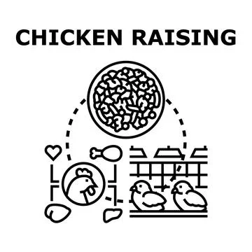 Chicken raising concept creating poultry farming products Stock Illustration