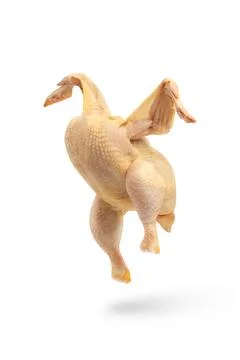 Chicken raw, casting a shadow, spreading its wings. Raw chicken isolated on Stock Photos