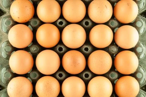 Chicken raw eggs Stock Photos