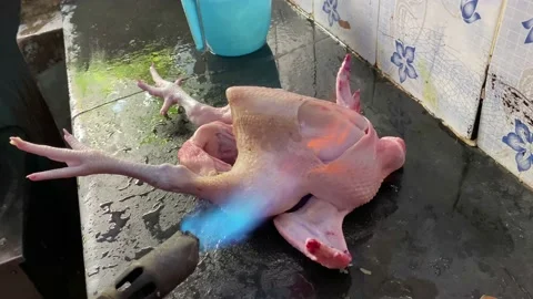 Chicken roast Stock Footage 158942059