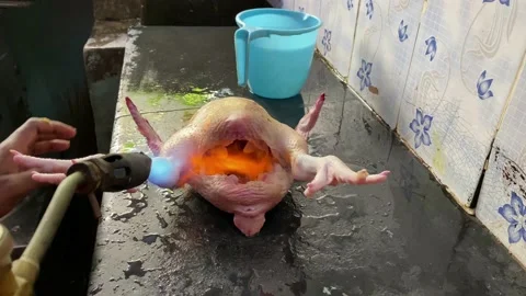 Chicken roast Video stock 159240756