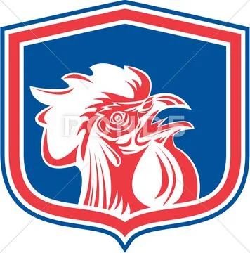 Chicken rooster head mascot shield retro Stock Illustration