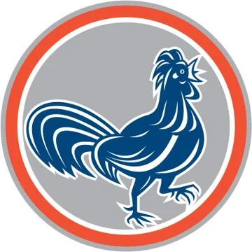 Chicken rooster walking circle retro Stock Illustration