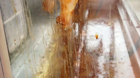 Chicken rotate grill. Stock Footage 49248639