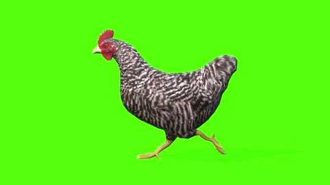 Chicken run 3gp free download