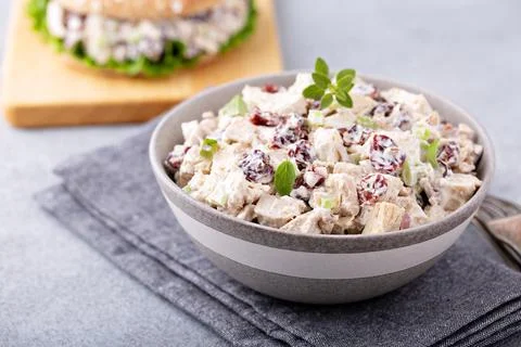 Chicken salad with dried cherry Stock Photos