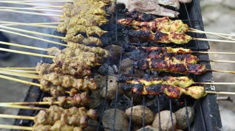 Chicken Satay Stock Footage 24686982