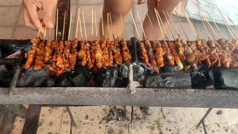 Chicken satay Stock Footage 238831081