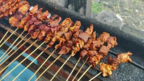 Chicken Satay Stock Footage 270394117