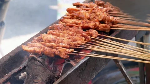Chicken satay Stock Footage 308132934