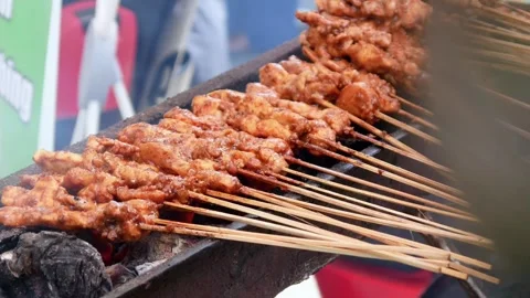Chicken satay Stock Footage 308133337