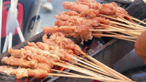 Chicken satay Stock Footage 308133342