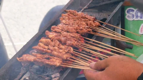 Chicken satay Stock Footage 308133471