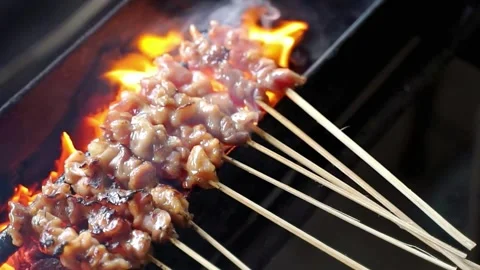 Chicken satay seen from above Video stock 265674636
