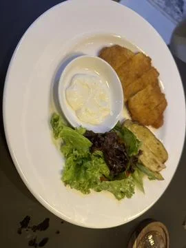 Chicken schnitzel shot using high angle mode Stock Photos