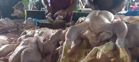 Chicken Seller Video stock 305173580