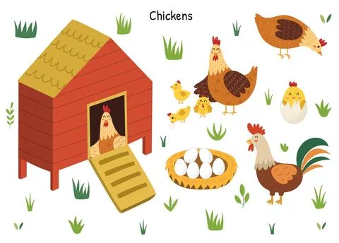 Chicken set with a cute hen, rooster, chicks and eggs. Chicken coop with a bird Stock Illustration