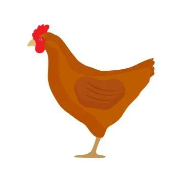 Chicken side view vector flat icon design. Food cock agriculture closeup silh Stock Illustration