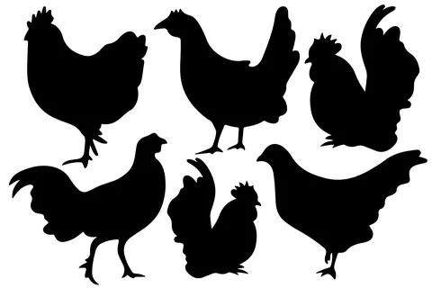 Chicken silhouette vector for websites, graphics related artwork Stock Illustration