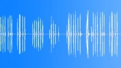 Chicken Single Clucking Sound Effect