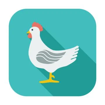 Chicken single icon. 스톡 일러스트