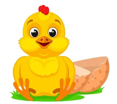 A chicken sits near an egg shell on a white. Isolated, character Illustrazione stock