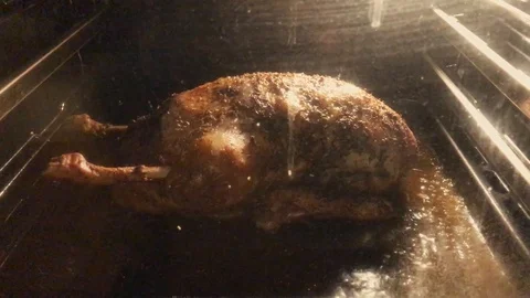 Chicken is slowly roasting in the oven before dinner Stock Footage 97446739