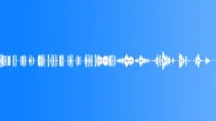 CHICKENSound Effect