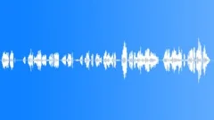 CHICKENSound Effect