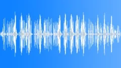 Chicken Sound Effect