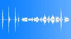 Chicken sounds Sound Effect