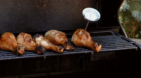 Chicken temperature Stock Footage 51666609