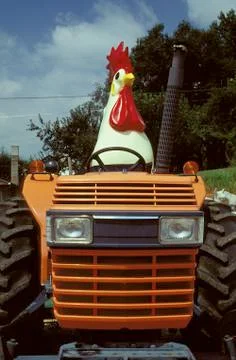 Chicken tractor Fotos Stock