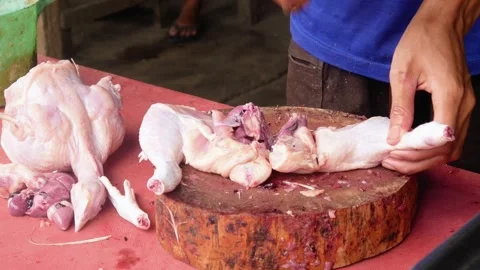 Chicken trader cutting up chicken meat Stock Footage 310248474