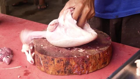 Chicken trader cutting up chicken meat Stock Footage 310248479